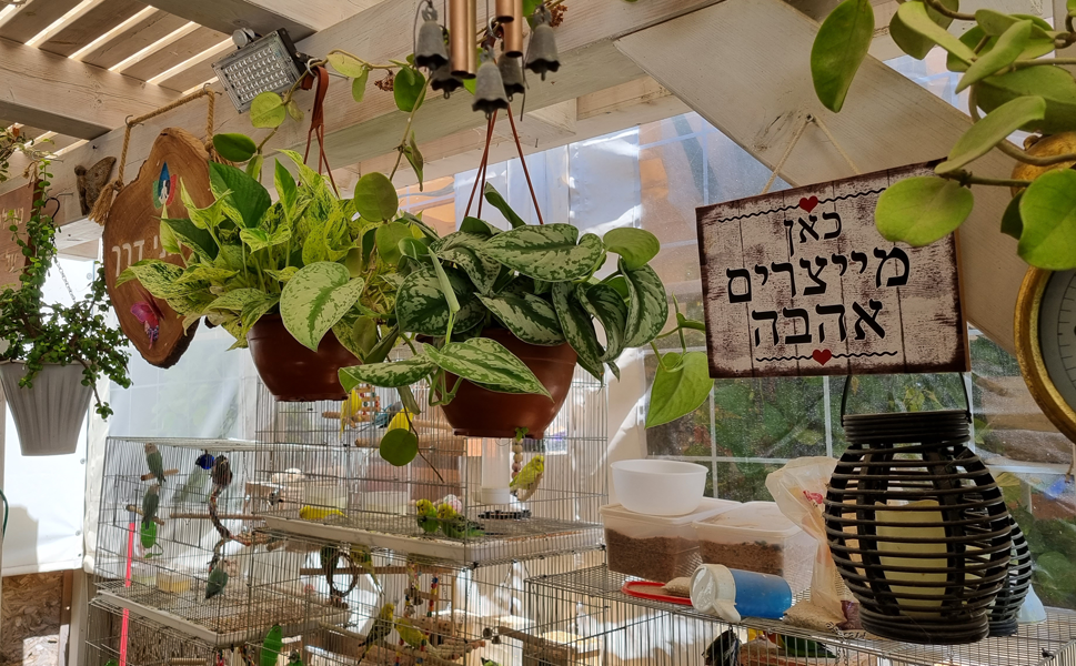 הרימו את חגיגות יום האהבה שלכם על ידי התפנקות בעולם המרגיע והרומנטי של טיפול זוגי בוואטסו.